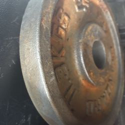 25lb Steele Plates
