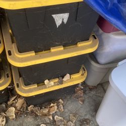 Household Items / Approximately 20 Bins 