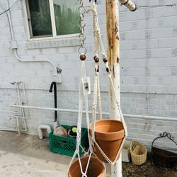2 Hangers Plants