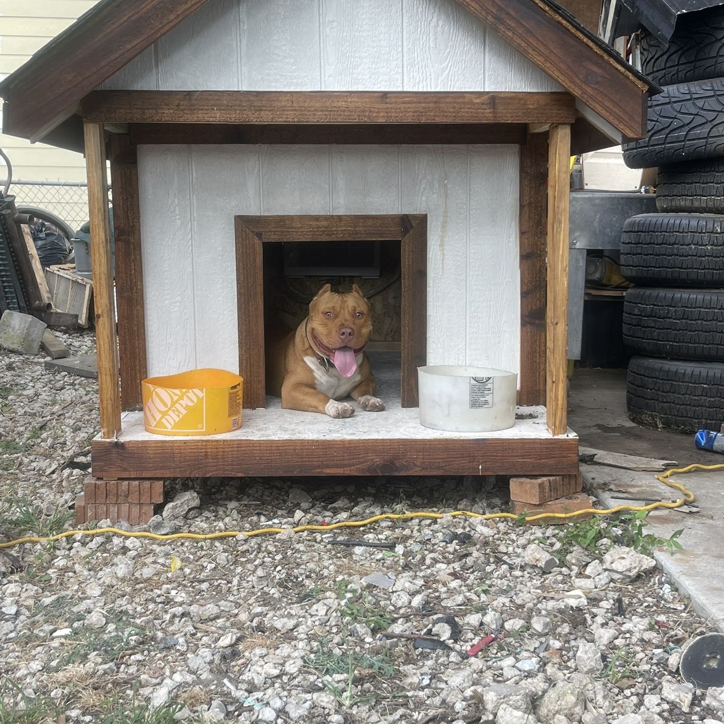 Dog Houses Build 