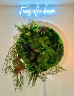 Large LED Moss Wall Art | Round Botanical Wall Decor | Modern Nature Display