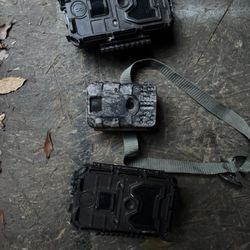 3 Trail Cameras 