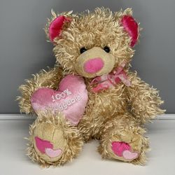 Dan Dee Tan and Pink Shaggy Valentine's Teddy Bear 100% Huggable Plush
