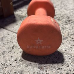 15 Lb. Single dumbbell  