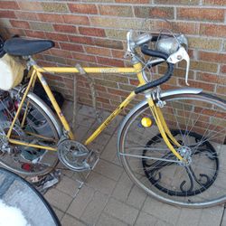 1967 Vista Bike