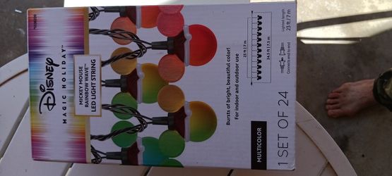 Disney Christmas Lights