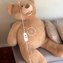 Giant Bear Like New