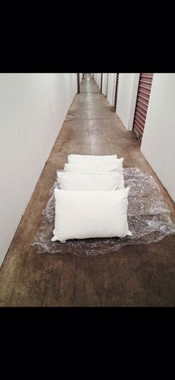 Pillows 2 for $15.00 Pickup 2-8:30 pm rainbow /charleston cash only read description