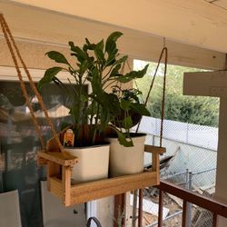 Mini Porch Swing