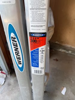 Werner Ladder MT-17