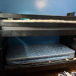 Bunk Bed For Sell