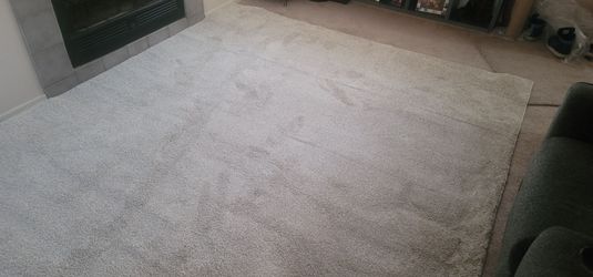 Plush 8' x 10' Area Rug