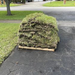 New And Fresh Sod Grass For Sale ,  Para La Venda 