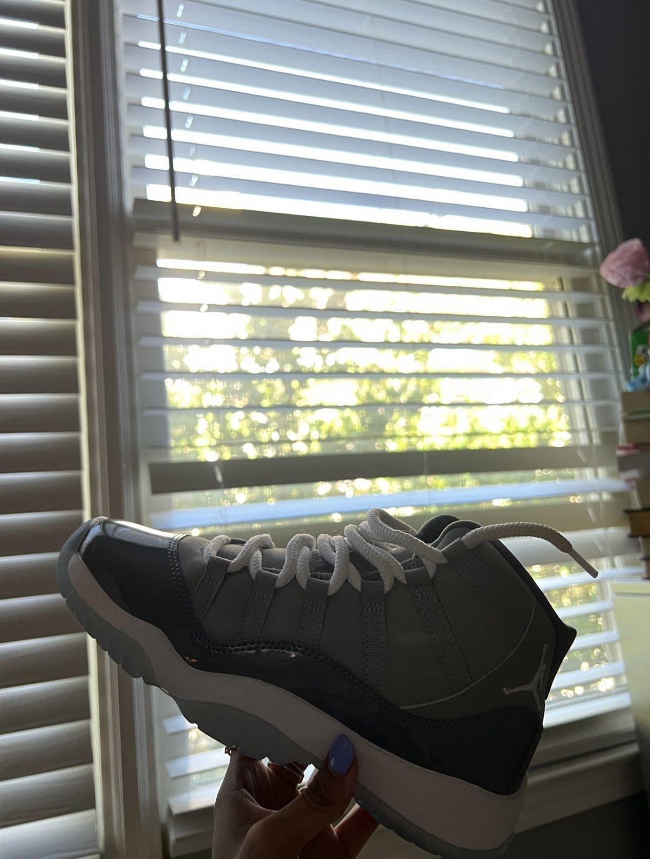 Air Jordan 11 cool grey