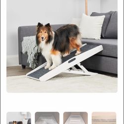 Carlson 39.5" Indoor Pet Ramp