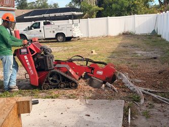 Stump 1grinding