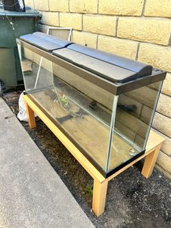 55 Gallon Fish Tank W/ Stand and All Accessories