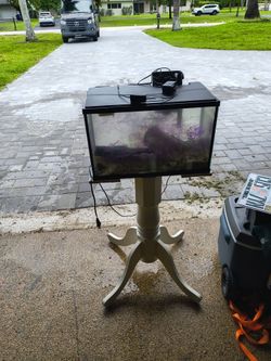 10 gallon fish tank aquarium