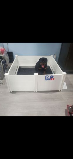 Pupez Whelpng Box