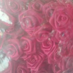 Ordained Minister For Hire Weddings CEREMONIES  ETC