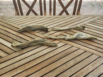 Drift Wood for Aquariums