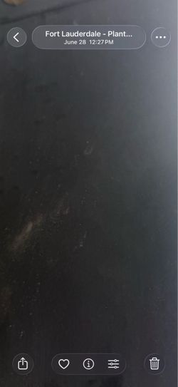 Granite