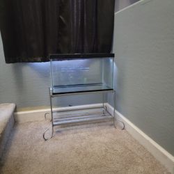 10 Gallon Terrarium With Stand