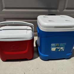 Igloo Coolers