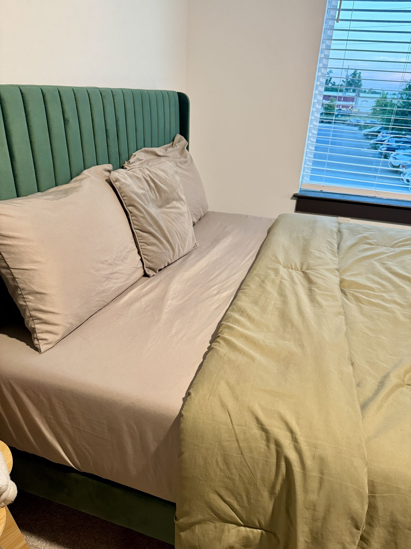 Queen Bedframe And Mattress