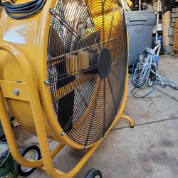 Fan