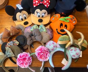 Disney ears
