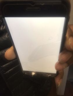 iPhone 7