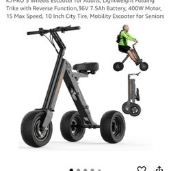 Three Wheel Electric Scooter 