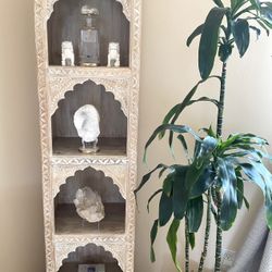 World Market Exclusive Bookshelf w/4 Display Shelves