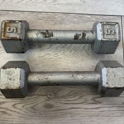 5 lbs Dumbbells 