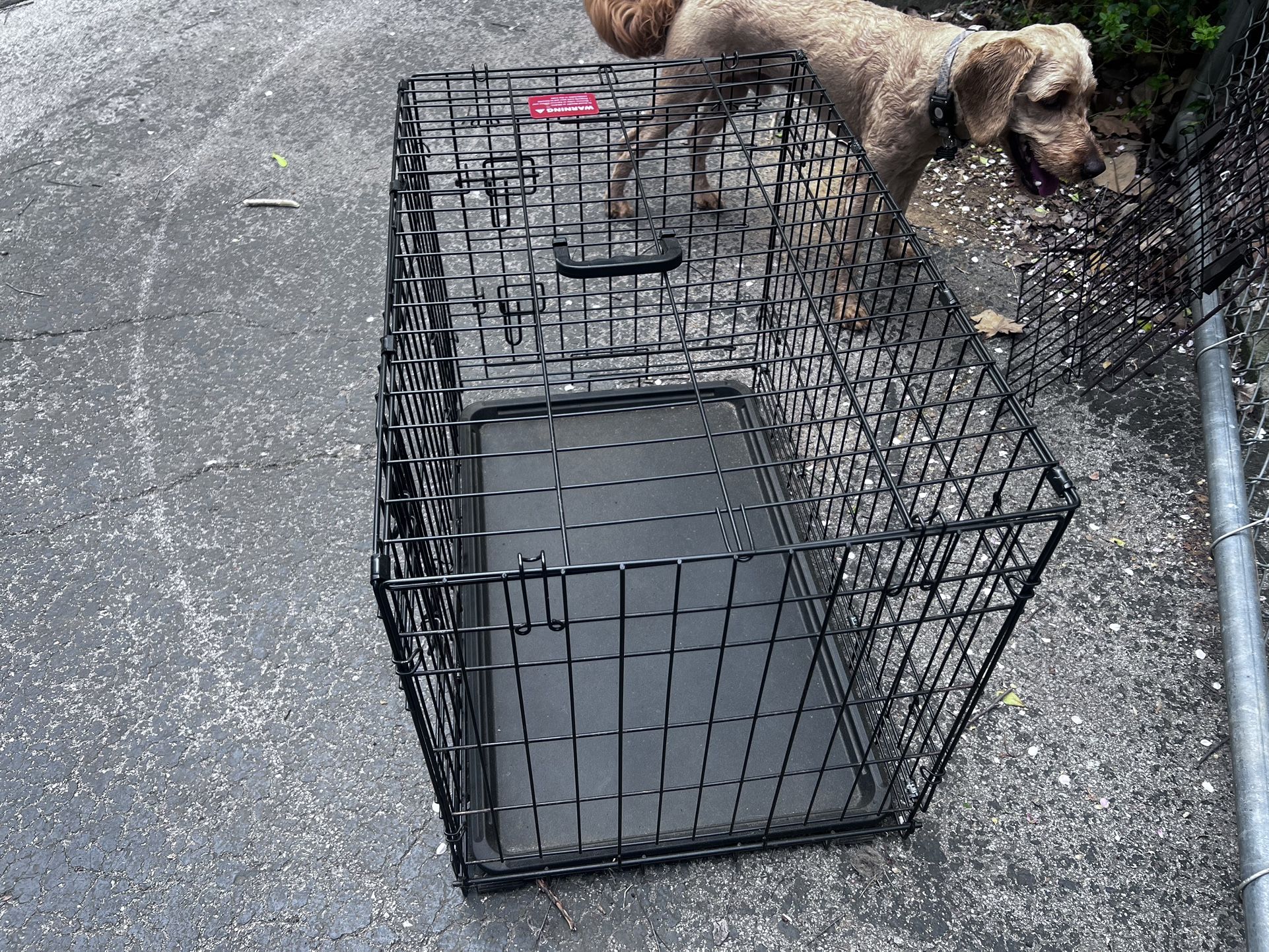 Dog Kennel