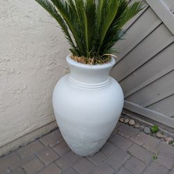 Plants With Pots