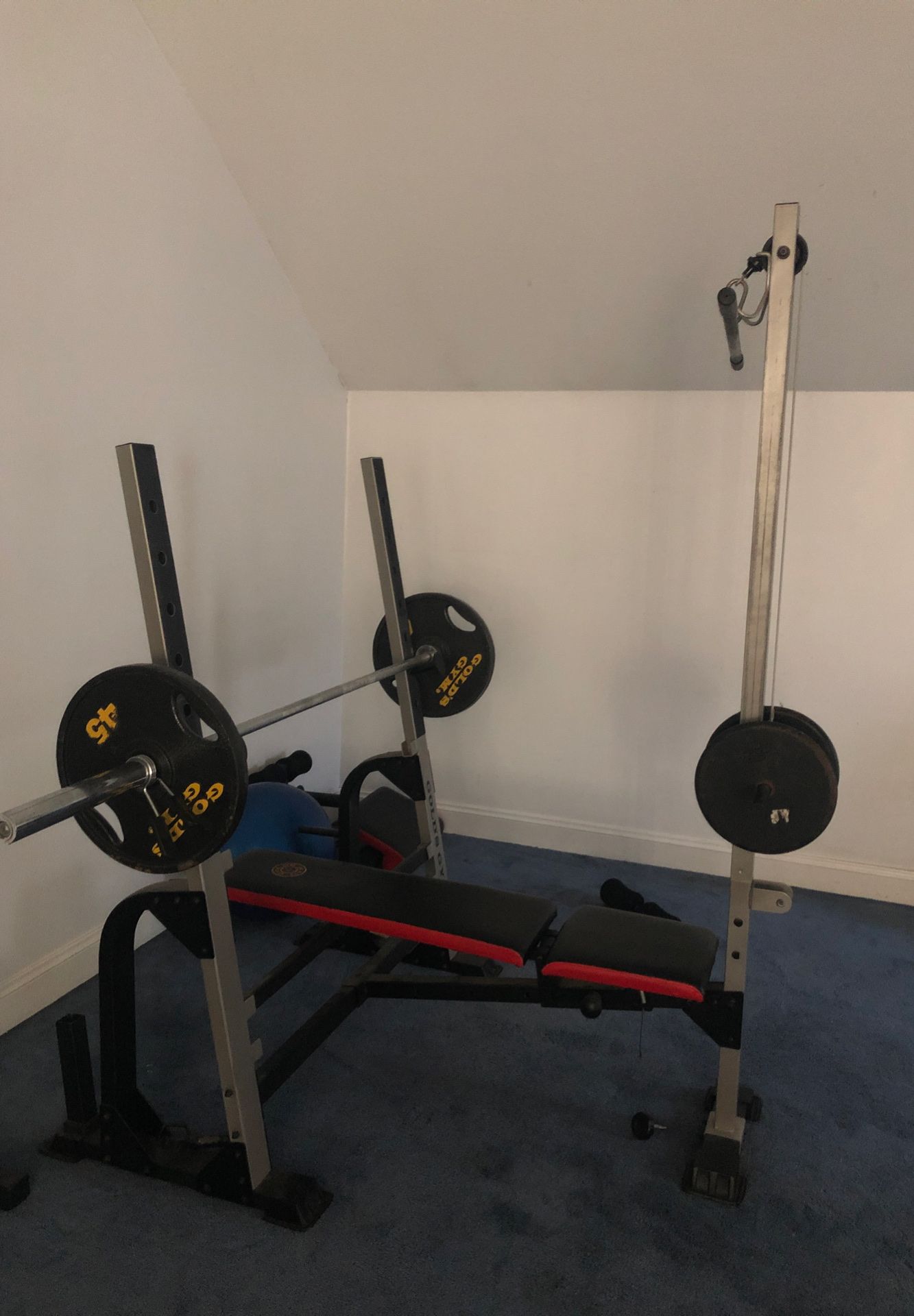 Golds gym bench w/ weight