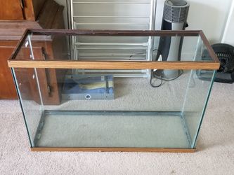 Fish Tank