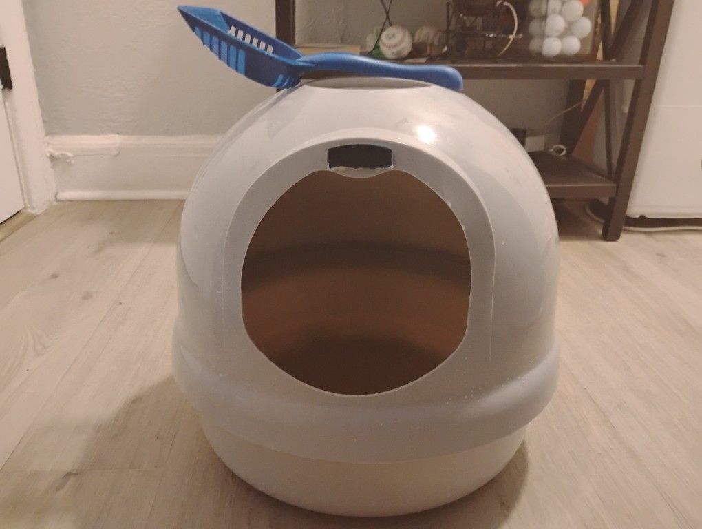 Box For Cats