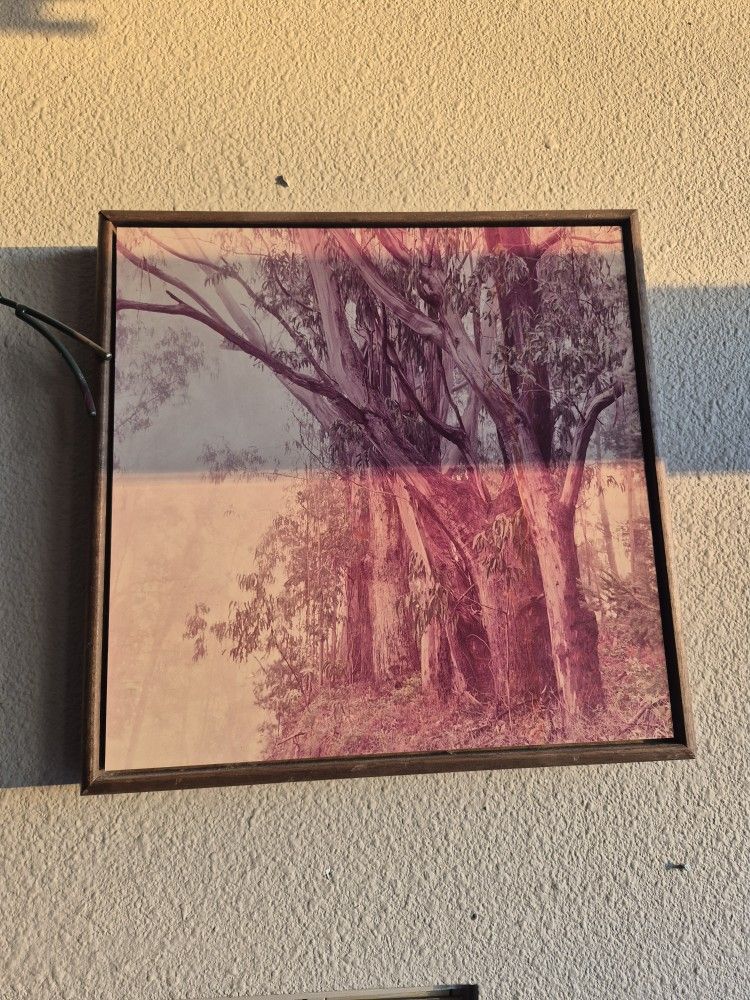 Wall Picture Print Decor $8