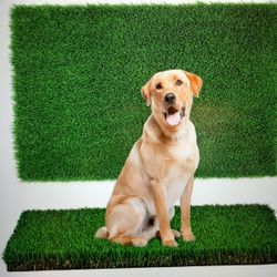 Fake Grass Pee Pad For Dogs 54 X 96 Inch