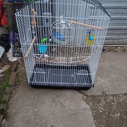 Bird Cage