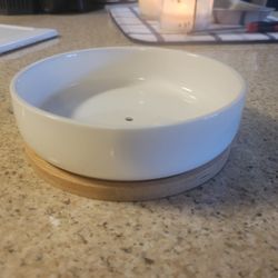 7" Pot For Succulents