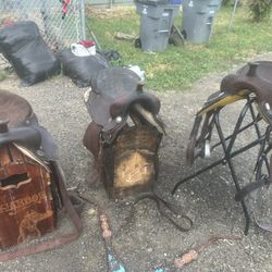 Nice Saddles Available 