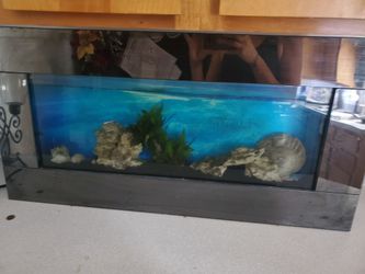 Wall aquarium