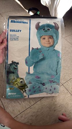 Monster inc sulley costume