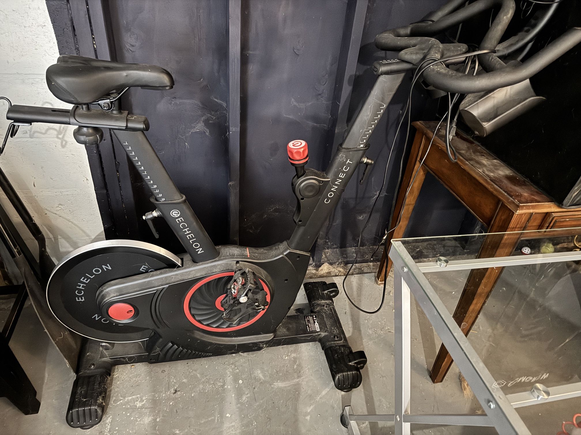 Echelon EX-5 Stationary Bike