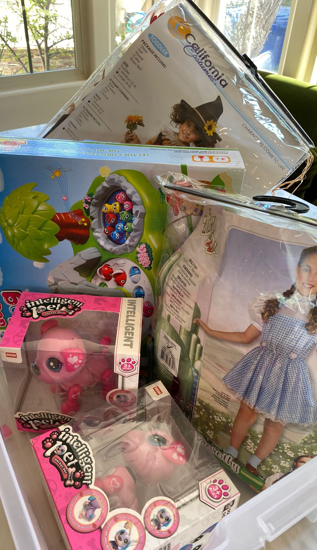 Kids Toys and costume