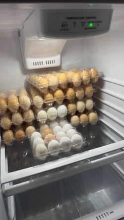 Organic eggs
